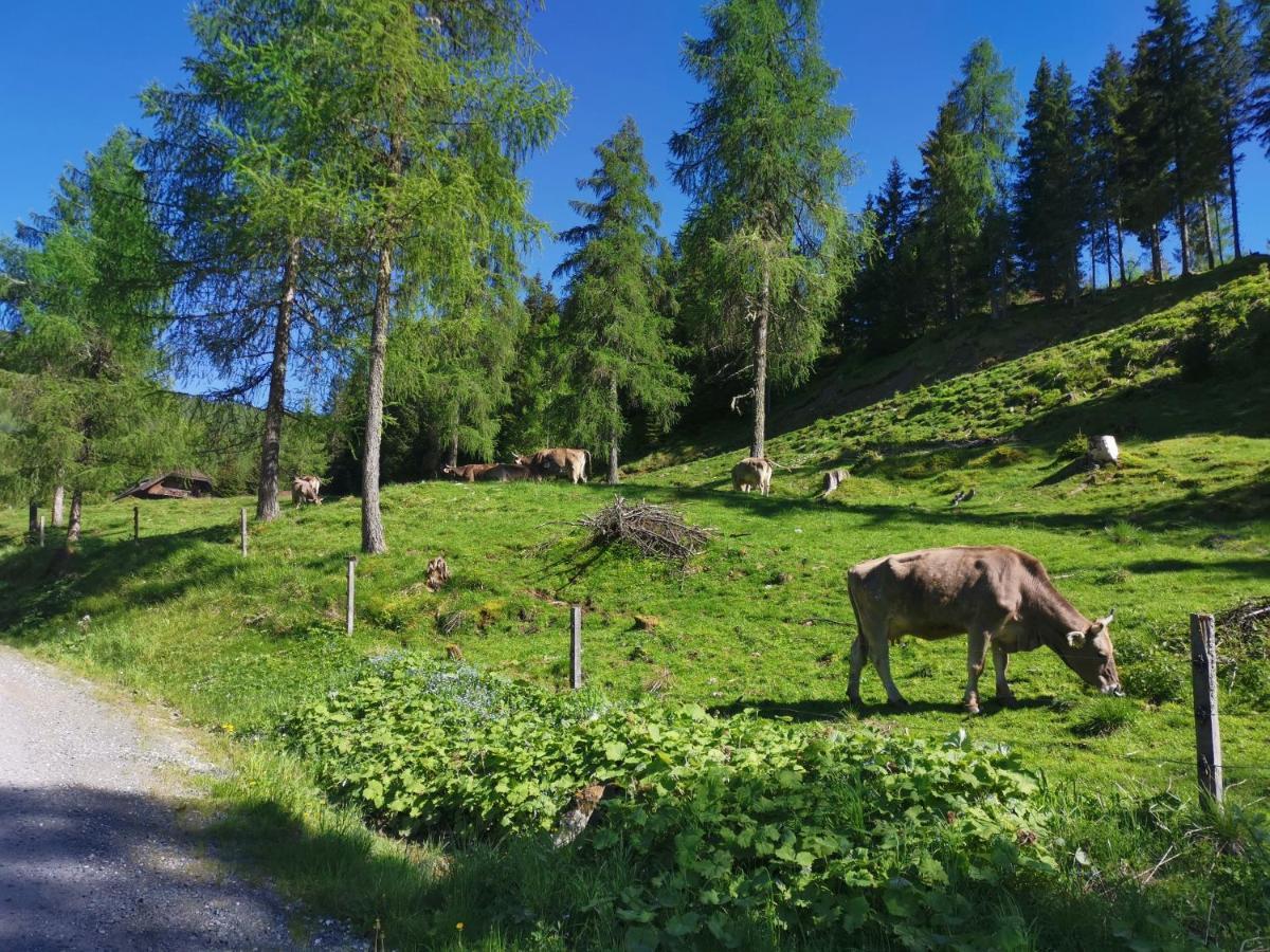 Haus Klinsterwald Sankt Oswald (Carinthia) Εξωτερικό φωτογραφία
